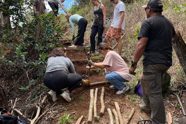 Group working on a forest trail with wooden logs and tools.