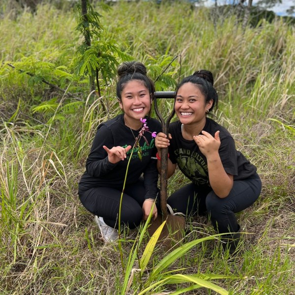Two people smiling, kneeling on grass, holding a small tree and a shovel.