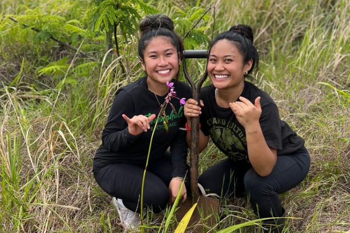 Two people smiling, kneeling on grass, holding a small tree and a shovel.