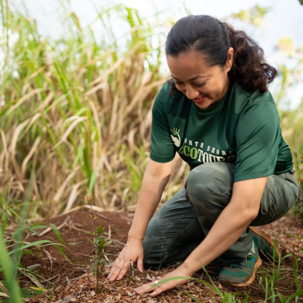 Woman planting a small tree in a field, wearing a green shirt and kneeling.