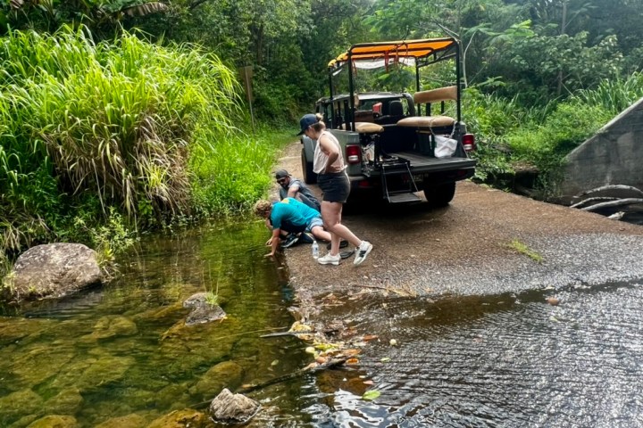 People examining water near an off-road vehicle on a forest trail.