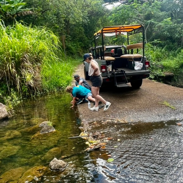 People by a stream with an open jeep, surrounded by lush greenery.
