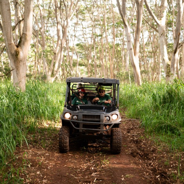 Group riding an ATV through a forest trail with tall grass.