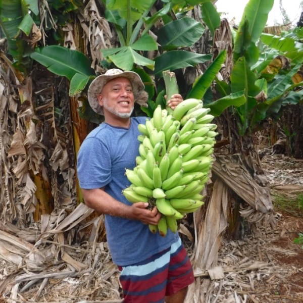 a person standing next to a banana tree