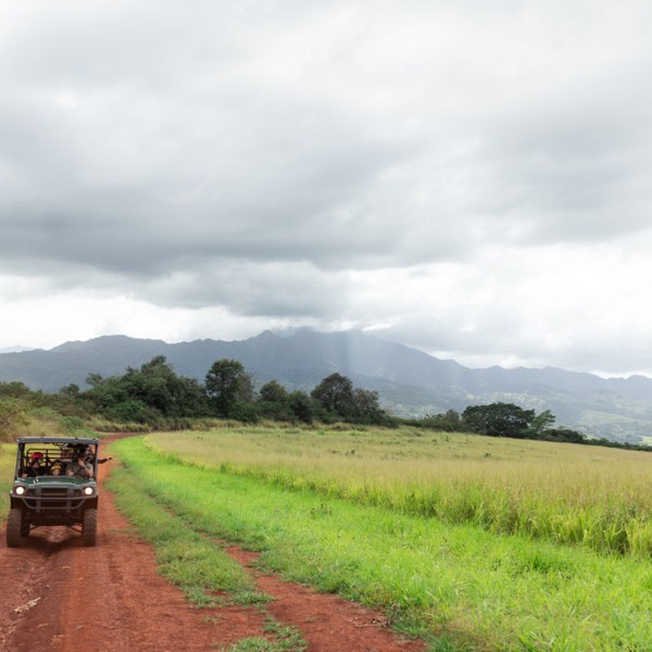 Off-road vehicle on a dirt path through grassy fields under cloudy skies.