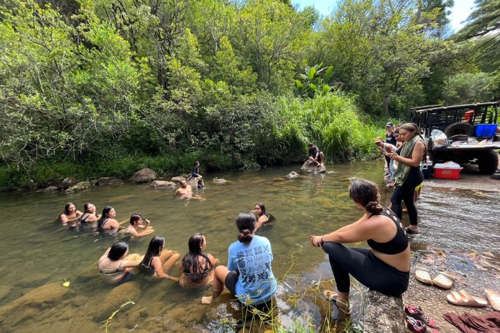 Group of people relaxing in a forest stream, surrounded by greenery.