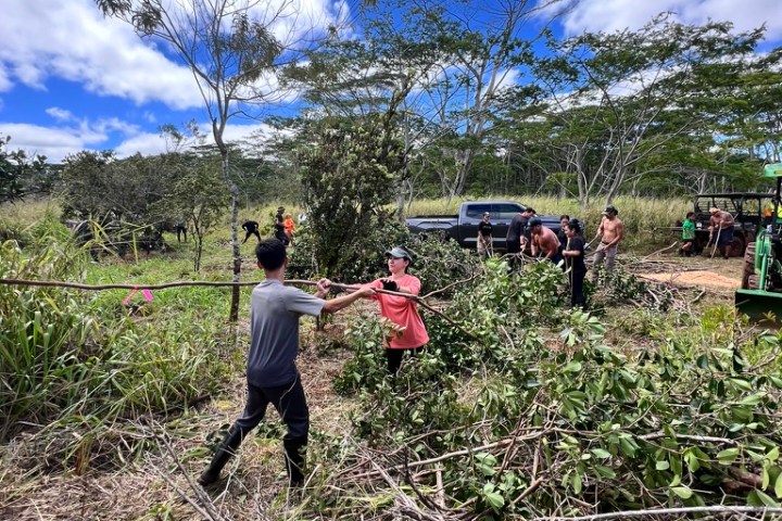 People clear branches in a grassy area under a blue sky with scattered clouds.