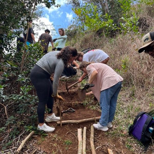 Group of people working on a hillside trail with logs and tools.