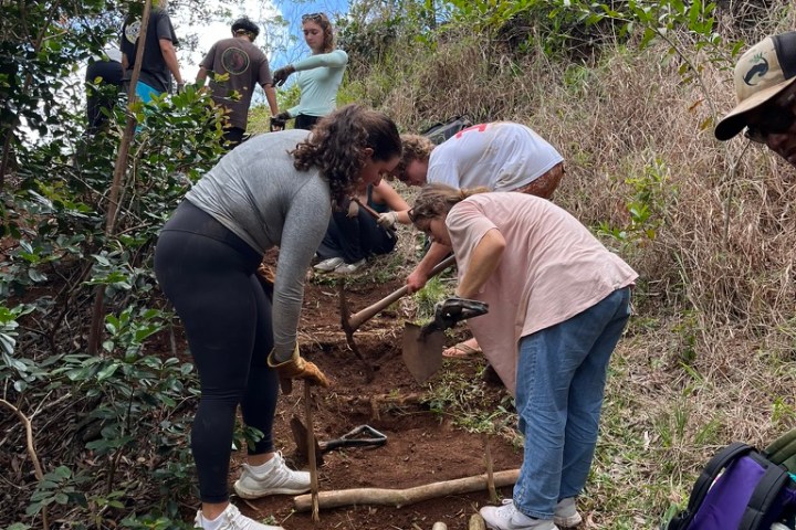 Group of people working on a hillside trail with logs and tools.