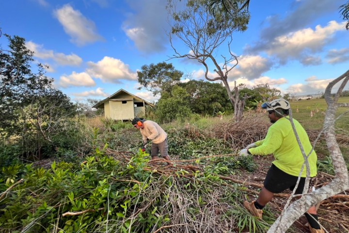 Two people clearing vegetation near a small house on a sunny day.