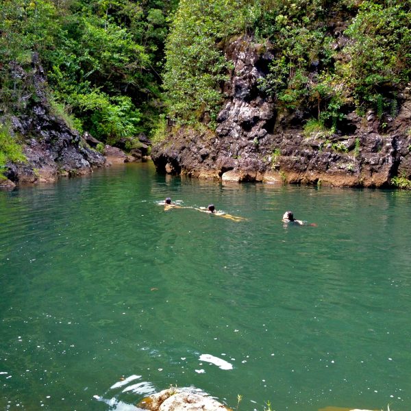 a group of people swimming in a body of water