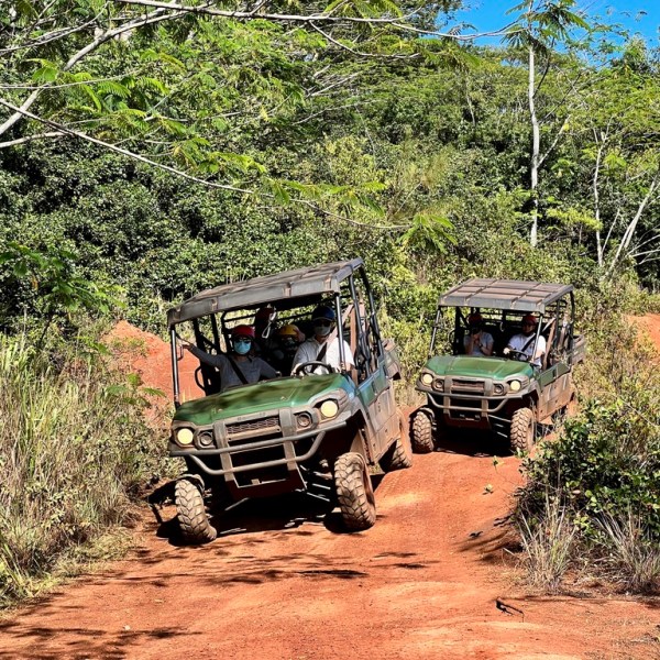 Two green off-road vehicles driving on a dirt path in a lush forest.