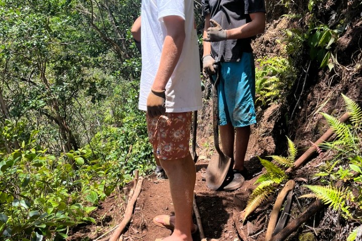 Two people standing on a forest trail with shovels.