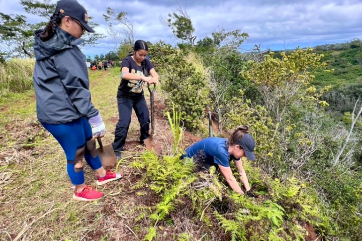 Three people planting trees on a hillside under a cloudy sky.