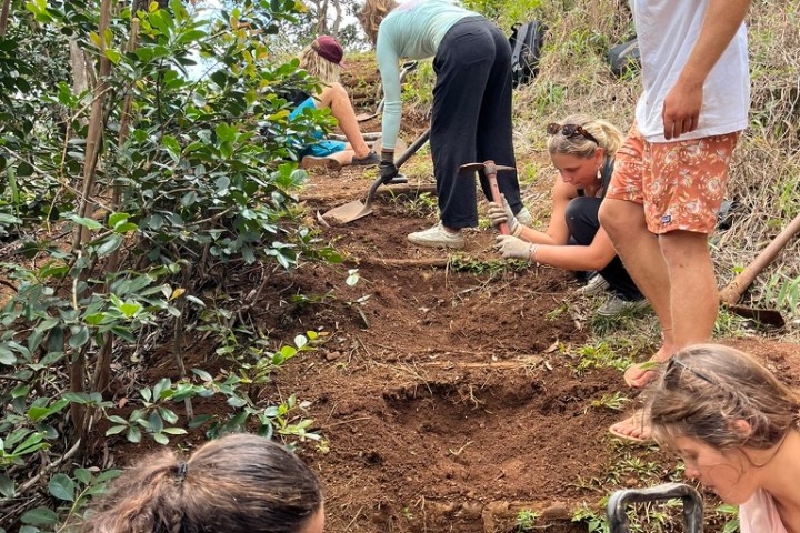 Group of people building steps on a dirt path in a forested area.