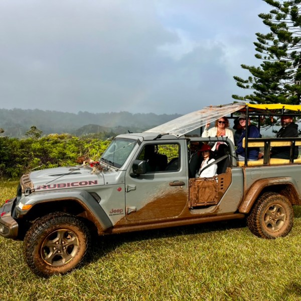 Off-road vehicle on grassy field with passengers in a scenic forest area.
