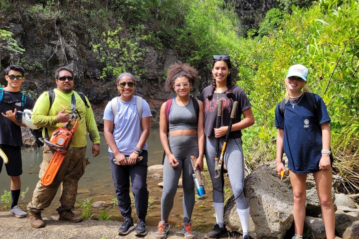 a group of people standing next to a tree