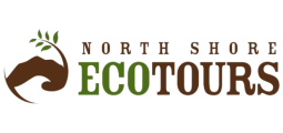 North Shore Eco Tours
