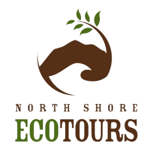 North Shore Eco Tours
